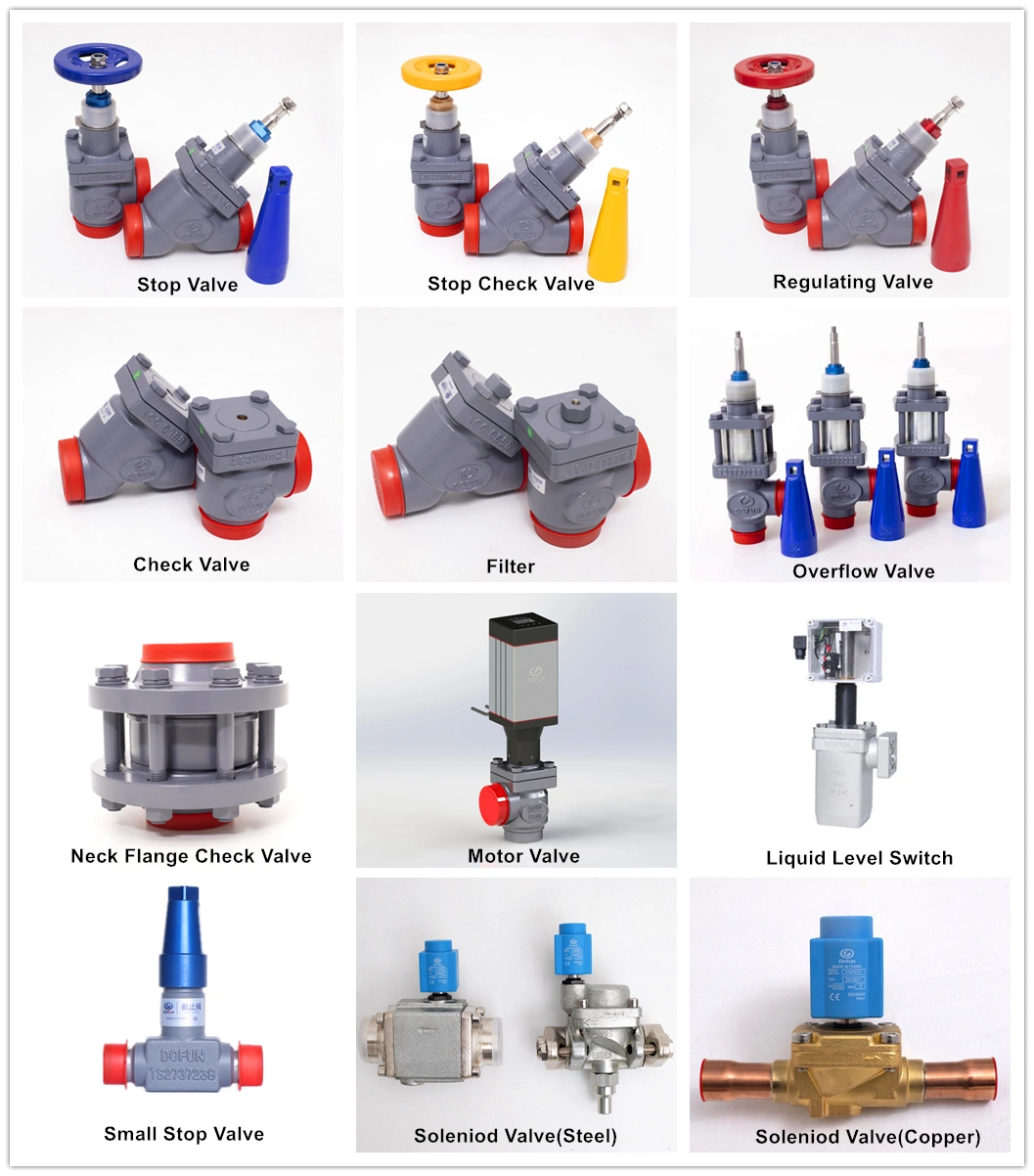 Use for Ammonia System Freon System Cold Storage Refrigeration Carbon Dioxide Check Valve