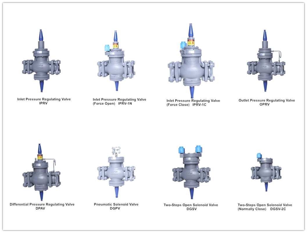 Use for Ammonia System Freon System Cold Storage Refrigeration Carbon Dioxide Check Valve