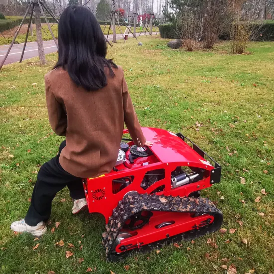 Tagliaerba da giardino commerciale Tagliaerba Carrello Trinciaerba robotizzato e accessori